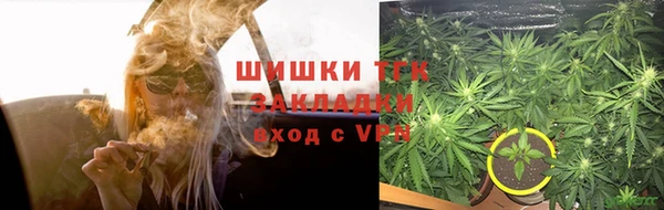 ПСИЛОЦИБИНОВЫЕ ГРИБЫ Лабытнанги