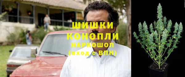 гидра Ладушкин
