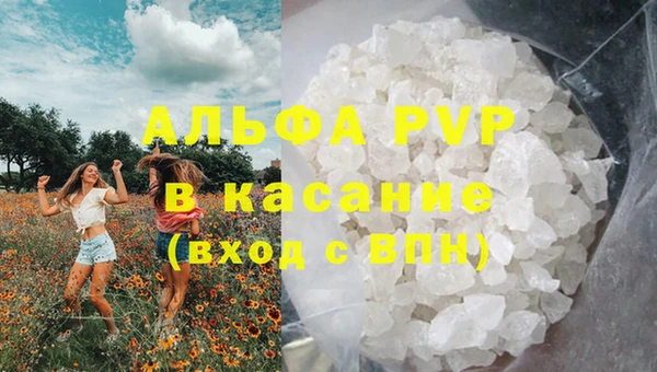 гидра Ладушкин