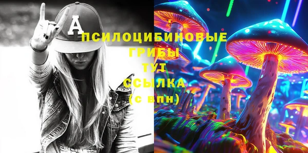гидра Ладушкин