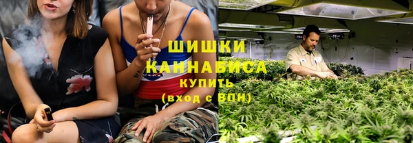ПСИЛОЦИБИНОВЫЕ ГРИБЫ Лабытнанги