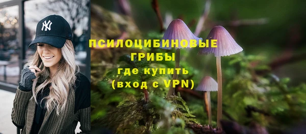 гидра Ладушкин