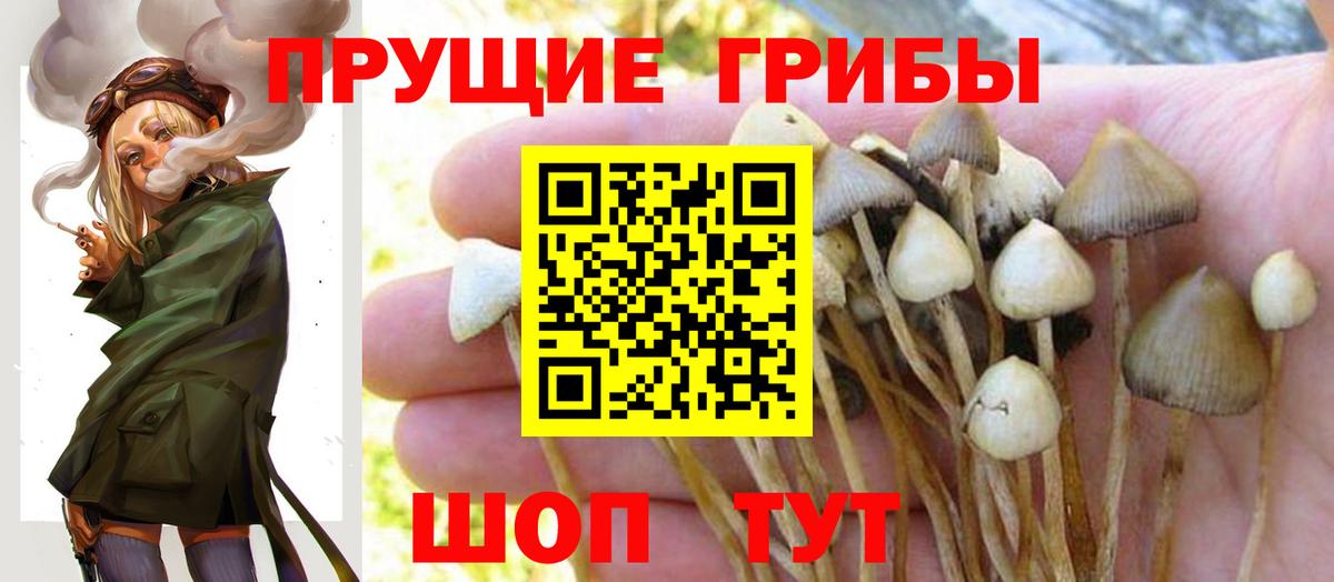 дарнет шоп  Псилоцибиновые грибы ЛСД  Галлюциногенные грибы Magic Shrooms  Вход с VPN  Лангепас 