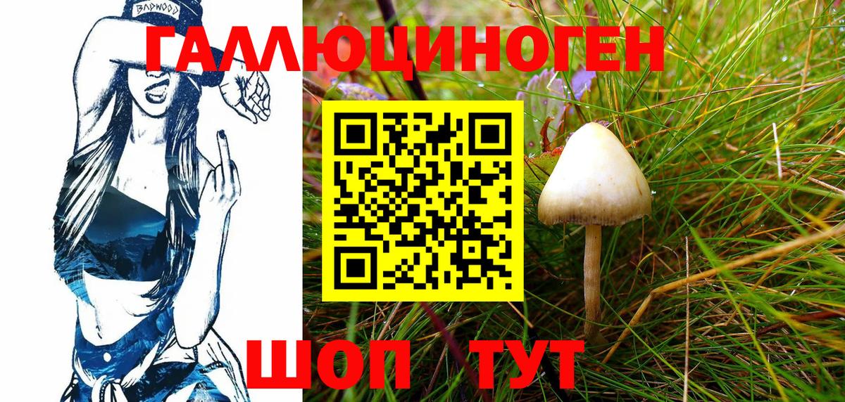 Псилоцибиновые грибы Psilocybine cubensis Лангепас